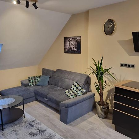 Vltava Design Apartments Prága Kültér fotó