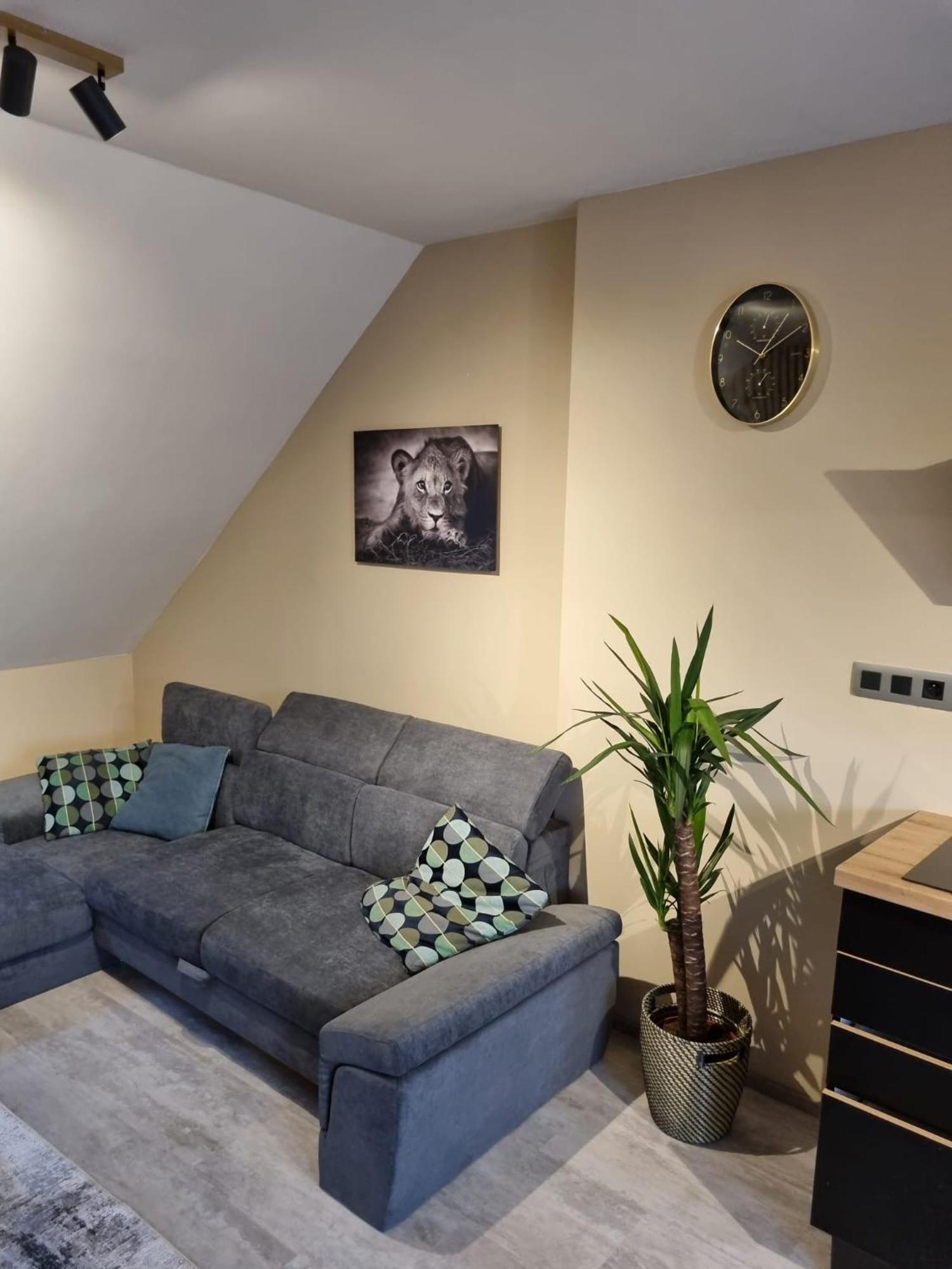 Vltava Design Apartments Prága Kültér fotó