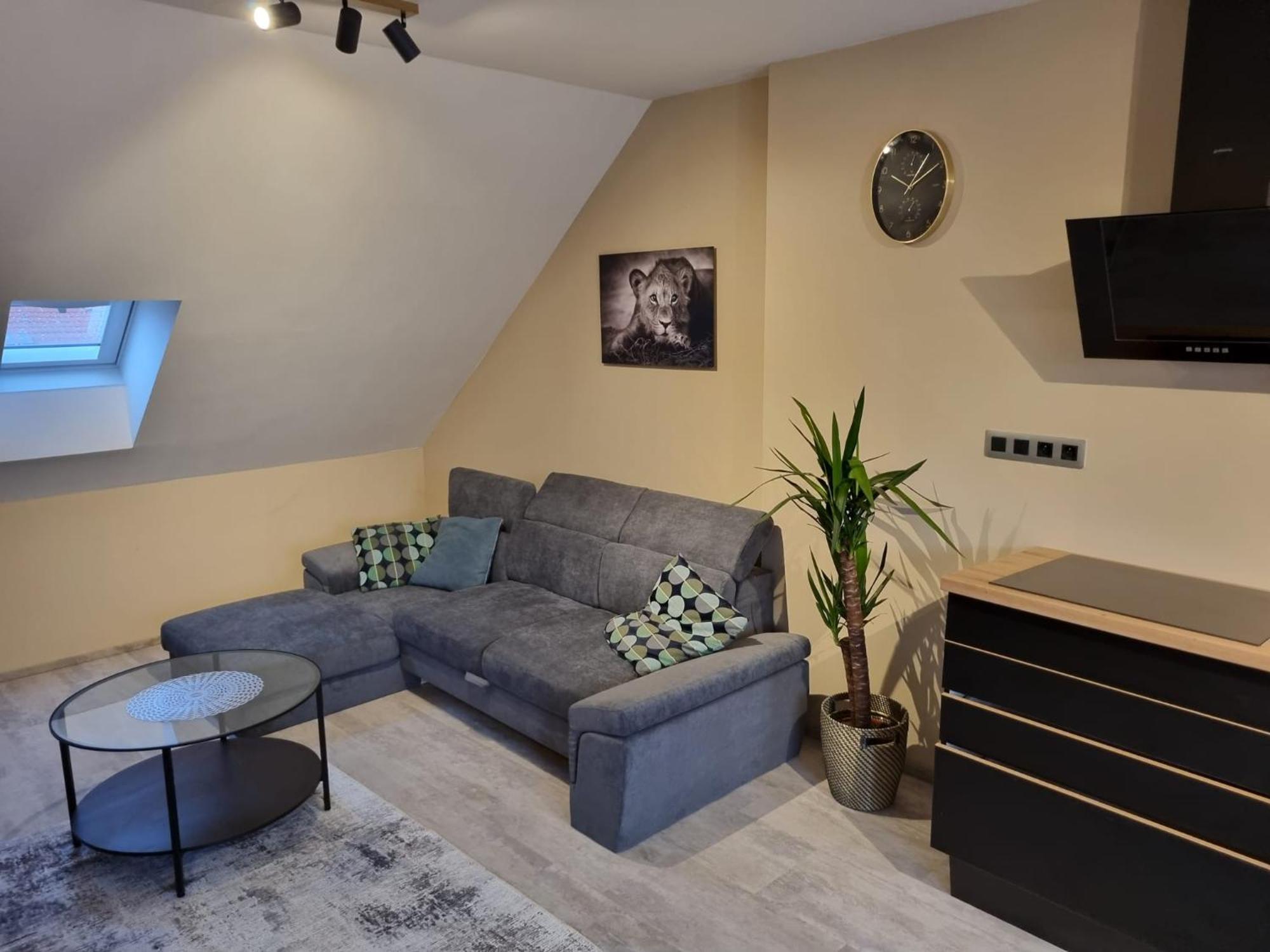 Vltava Design Apartments Prága Kültér fotó